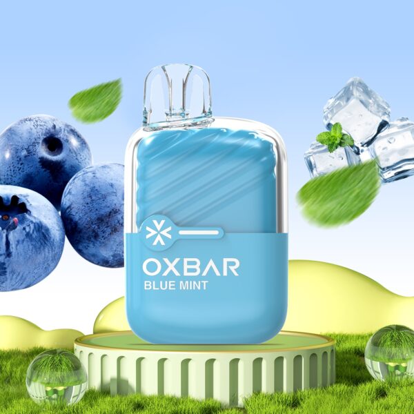 Oxbar mini arÁndanos menta 2%